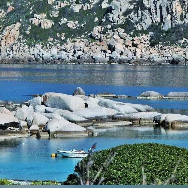 Residence Nausicaa Pool View Santa Teresa Gallura Διαμέρισμα