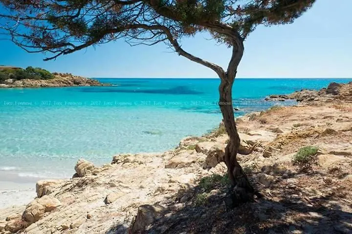 Διαμέρισμα Residence Nausicaa Pool View Santa Teresa Gallura